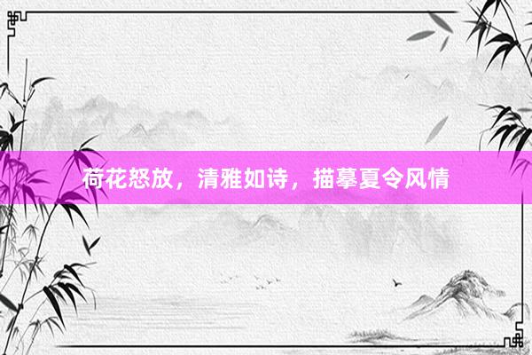 荷花怒放，清雅如诗，描摹夏令风情