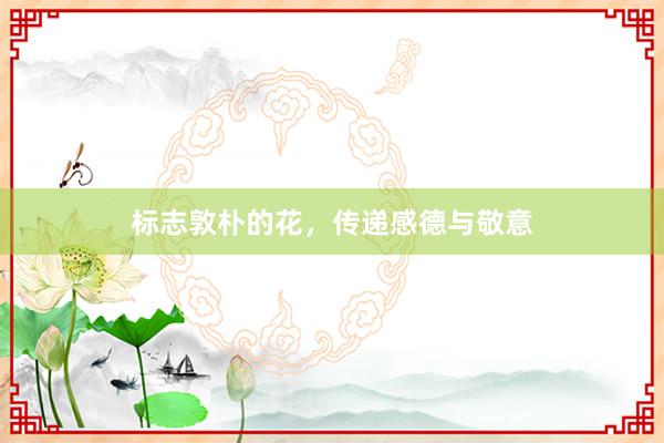 标志敦朴的花，传递感德与敬意